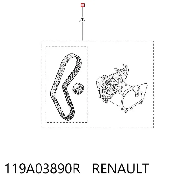 Комплект ГРМ 119A03890R Renault (RVI)