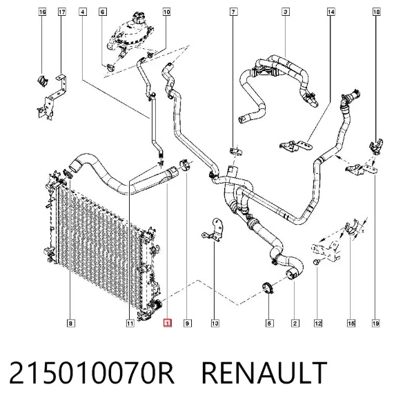 Патрубок радиатора 215010070R Renault (RVI)