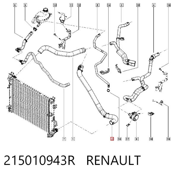 Нижний шлаг радиатора охлаждения 215010943R Renault (RVI)