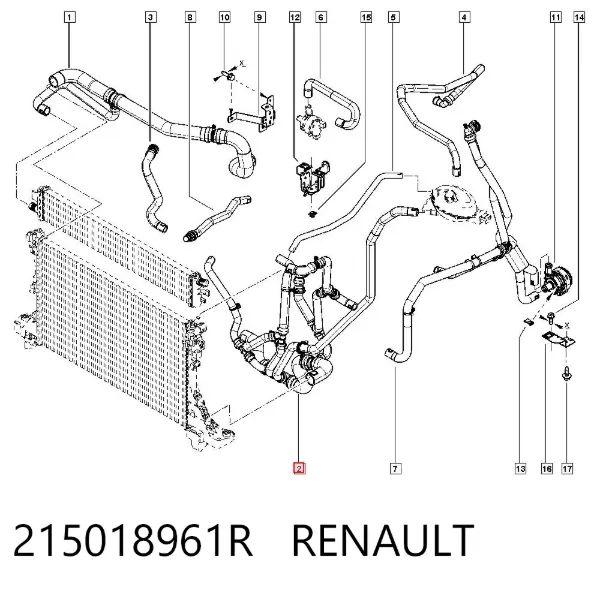 Нижний шлаг радиатора охлаждения 215018961R Renault (RVI)