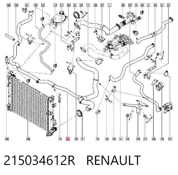 Нижний шлаг радиатора охлаждения 215034612R Renault (RVI)