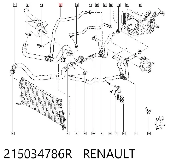 Нижний шлаг радиатора охлаждения 215034786R Renault (RVI)