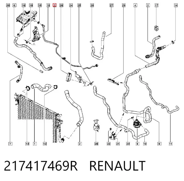  217417469R Renault (RVI)