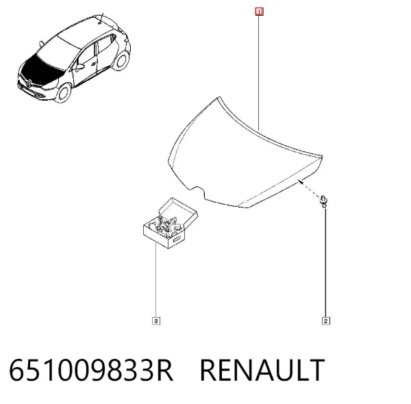 Капот 651009833R Renault (RVI)