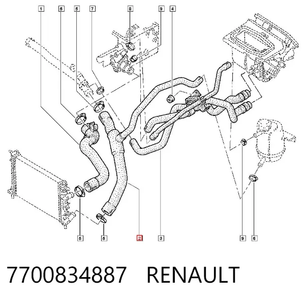 Нижний шлаг радиатора охлаждения 7700834887 Renault (RVI)