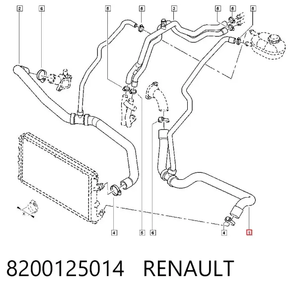Нижний шлаг радиатора охлаждения 8200125014 Renault (RVI)