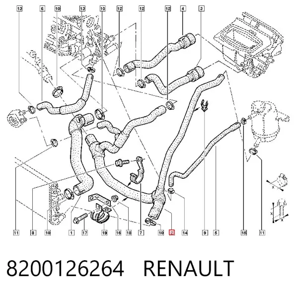 Нижний шлаг радиатора охлаждения 8200126264 Renault (RVI)