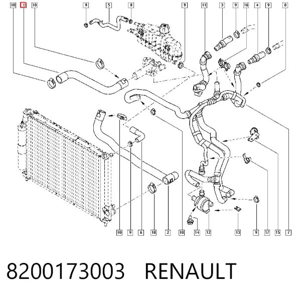 Патрубок радиатора 8200173003 Renault (RVI)