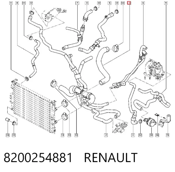 Патрубок радиатора 8200254881 Renault (RVI)