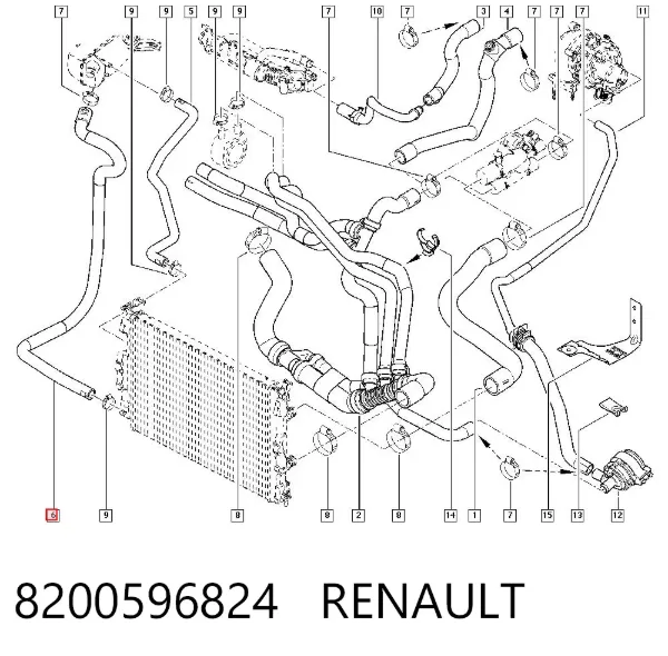 Нижний шлаг радиатора охлаждения 8200596824 Renault (RVI)