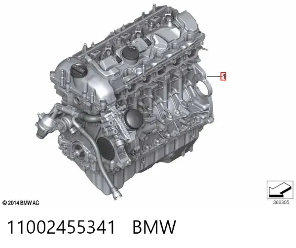 Двигатель 11002455341 BMW