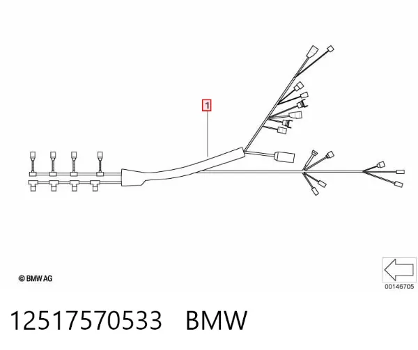  12517570533 BMW