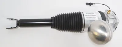Амортизатор задний правый VAG 3D0616002N