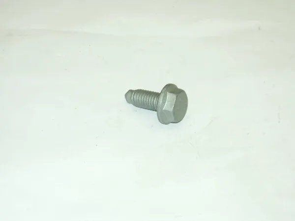  N10285906 VAG
