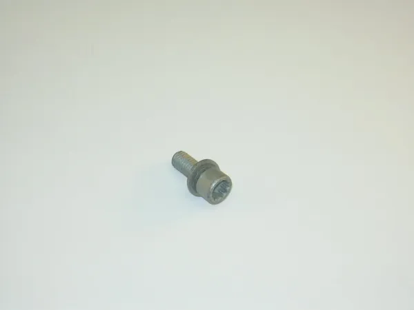 N10696502 VAG