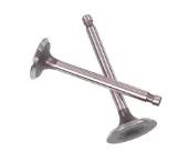 Клапан впускной