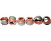 Сальник клапана (маслосъемный), впуск/выпуск, комплект на мотор