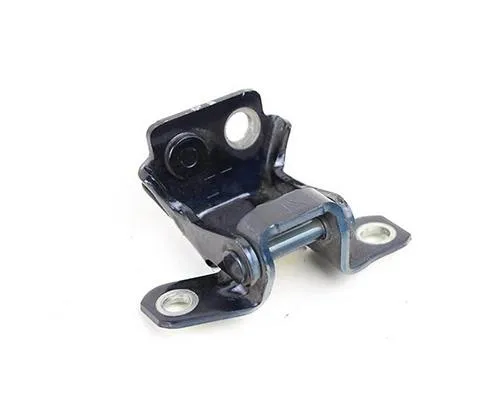 Петля двери задней правой H6BZ5826800A Ford