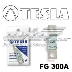Предохранители FG300A Tesla