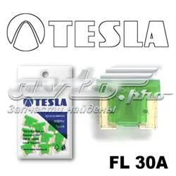 FL30A10 Tesla Предохранители электрических цепей