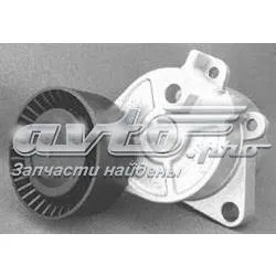 Натяжитель приводного ремня F230206 INA
