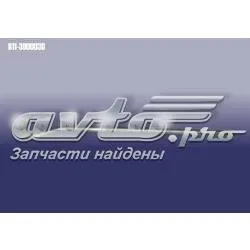  B113900030 Chery