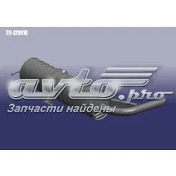 Катализатор T111201110 Chery