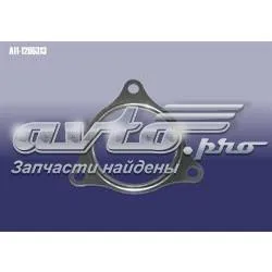 Прокладка каталитизатора A111205313 Chery