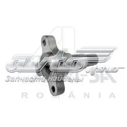 Поворотный кулак задний 32035 Asam