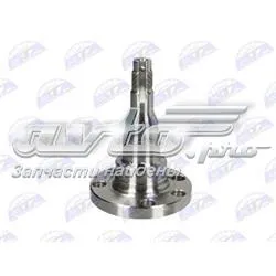 Поворотный кулак задний H5W004BTA BTA