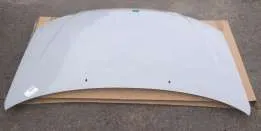 Капот 1014473100 BYD