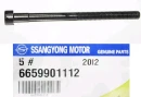Болт головки блока цилиндров SSANG YONG 6659901112