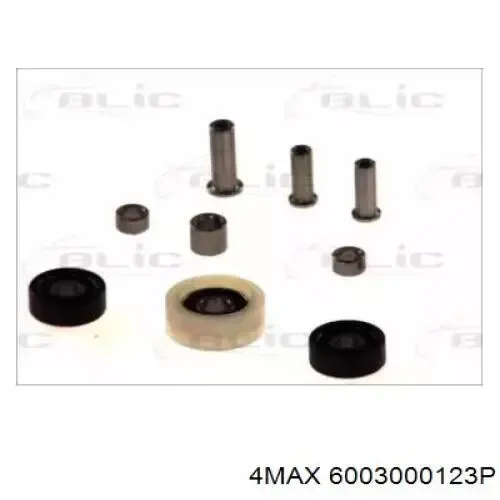  6003000123P 4max
