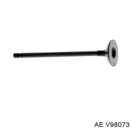 Впускной клапан V98073 AE
