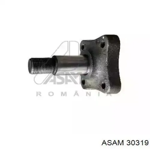 Поворотный кулак задний 6001548987 Renault (RVI)