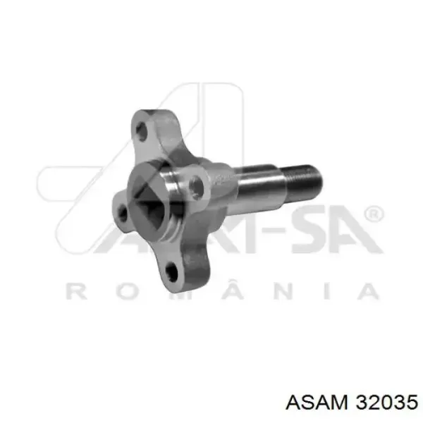 32035 Asam Цапфа задняя