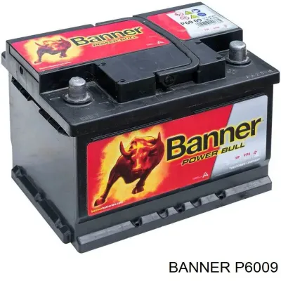 АКБ Баннер 60 А/ч 12 В (P6009)