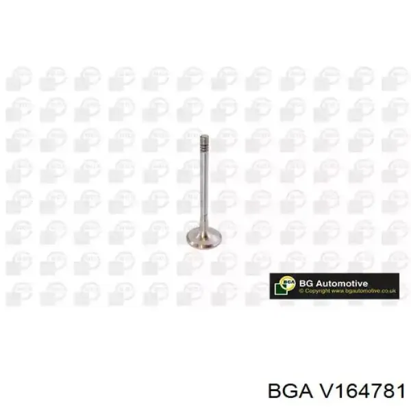 Выпускной клапан V164781 BGA