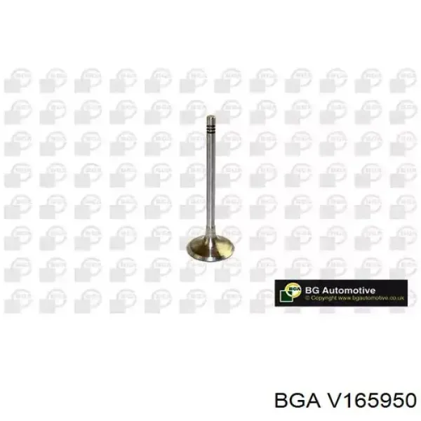 Впускной клапан V165950 BGA