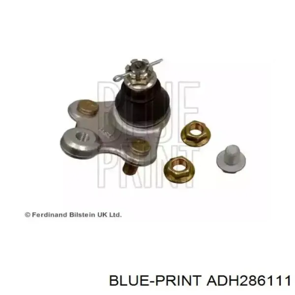 Нижняя шаровая опора SB0915 AMP/Paradowscy