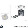 Комплект поршневых колец на 1 цилиндр, стандарт BMW 11257790520