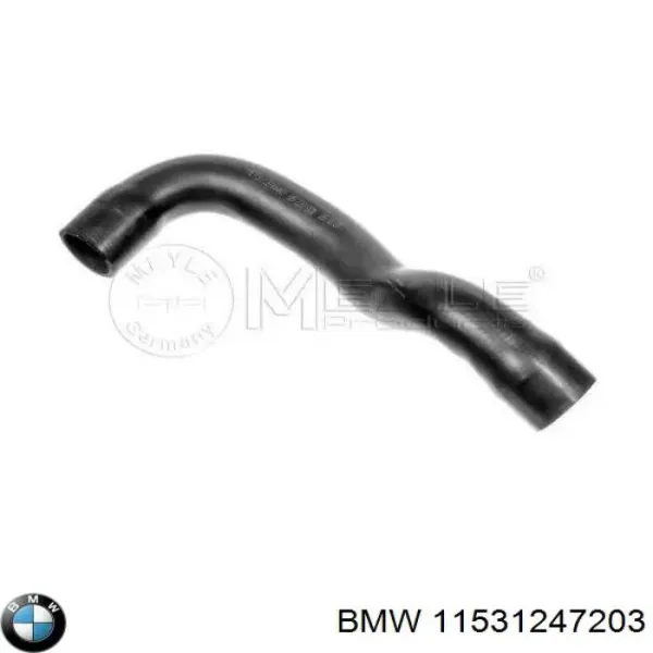 Нижний шлаг радиатора охлаждения 11531247203 BMW