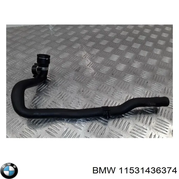  11531436374 BMW