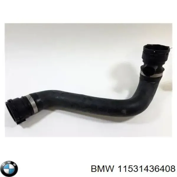 Нижний шлаг радиатора охлаждения 11531436408 BMW