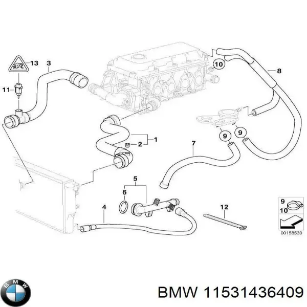 Нижний шлаг радиатора охлаждения 11531436409 BMW