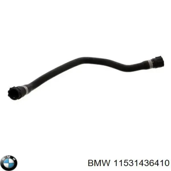 Нижний шлаг радиатора охлаждения 11531436410 BMW