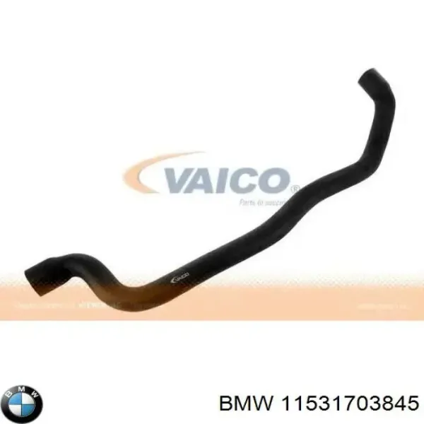 Нижний шлаг радиатора охлаждения 11531703845 BMW