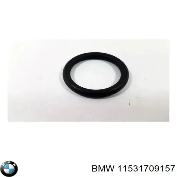 Прокладка водяной помпы 11531709157 BMW