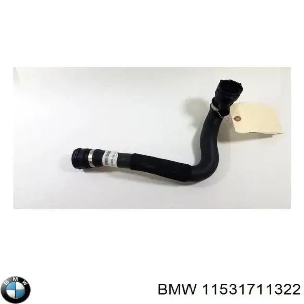 Нижний шлаг радиатора охлаждения 11531711322 BMW