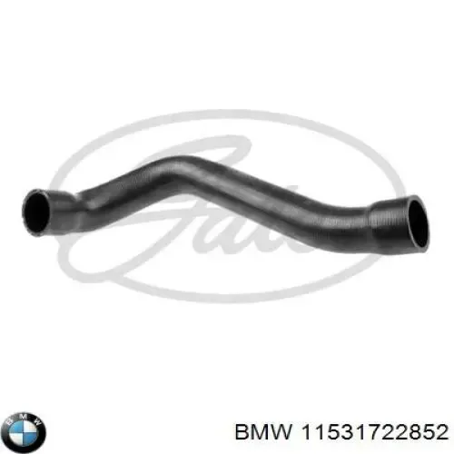 Нижний шлаг радиатора охлаждения 11531722852 BMW